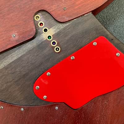 Pheo Rose with Taylor Solidbody Pickups and Switching - 2026 image 19