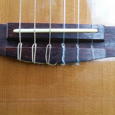 Fender GN-45-SCE-NAT 2003 Natural Nylon String Acoustic Electric image 6