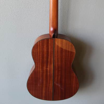 Brand New Yamaha GC12S Nylon String Classical Guitar image 7