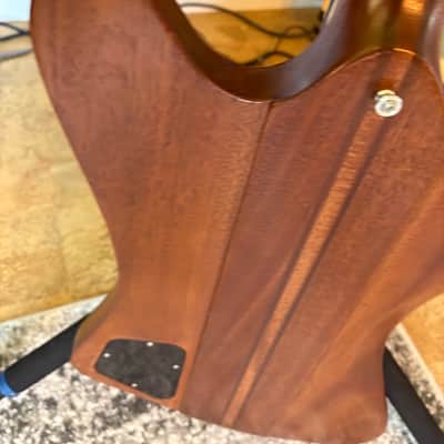 2006 USA Gibson Firebird V image 4