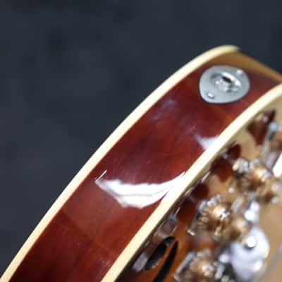 Eastwood Airline H78 Honeyburst Gold Foil Pickups Semi-Hollow El. Guitar w/Case image 14