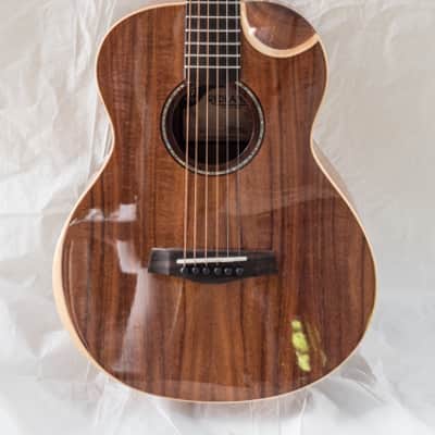 Traveler Redlands Acoustic/Electric Koa Gloss with Gig Bag image 1