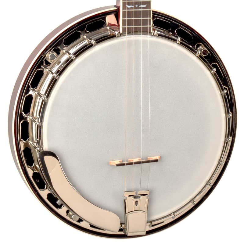 Recording King RK-T36 Madison Tenor Banjo image 1
