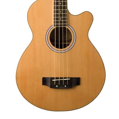 Washburn AB5K Spruce Top Mahogany Neck 4-String Acoustic Bass Guitar w/Gig Bag image 4