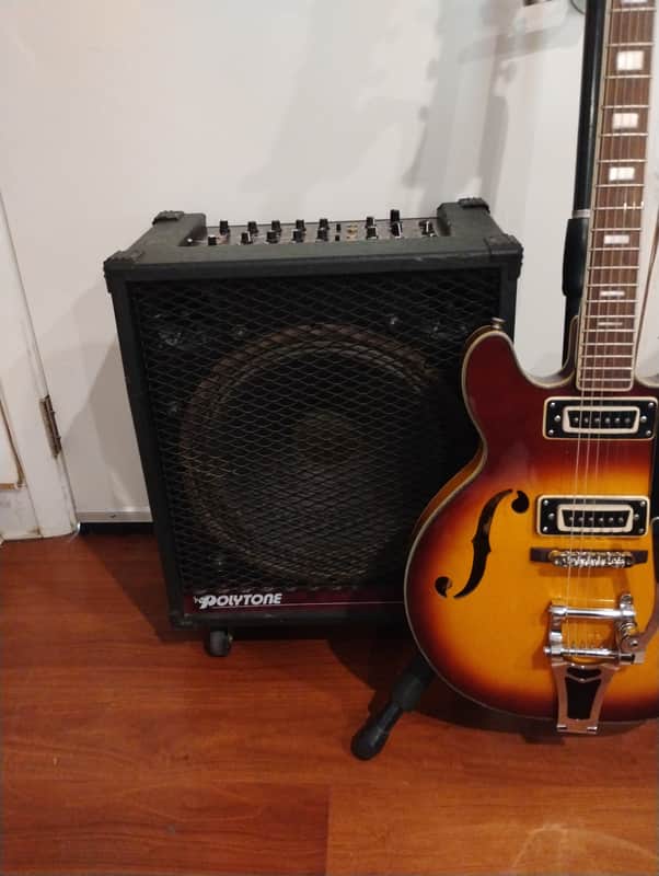 Polytone TAURUS ELITE 125w Amp image 1
