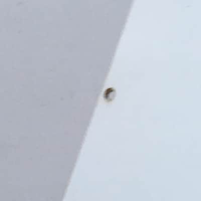 Lefty Genuine Fender Guitar Relic Strat Back Plate Tremolo Cover 1-ply Off White image 15