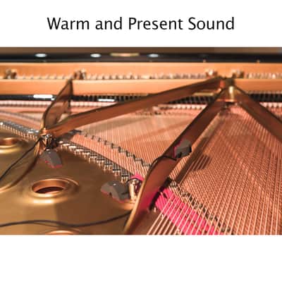 REMIC Microphones TRIPLE Kit Piano Microphone for Grand Piano image 4
