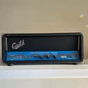 1960s Guild Thunderstar Bass Insanely Rare Blue Graphic Guitar/Bass Amplifier