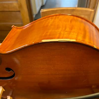 Andreas Eastman Half-Size Cello VC200 2008 image 14