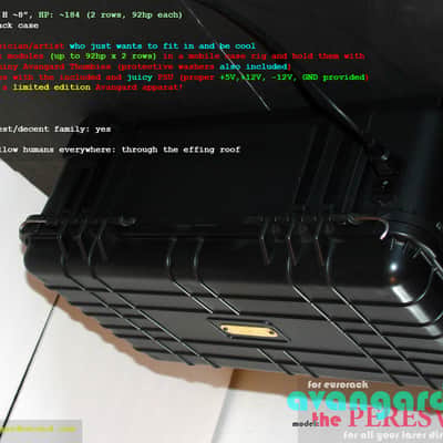 NEW! Avantgarde Sound • The Peresvet • 186hp Fully Powered Eurorack Case w/Wheels! image 6