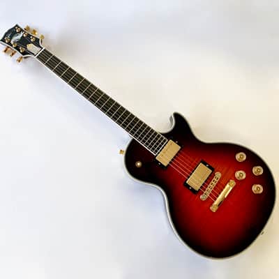 Gibson Les Paul Supreme 2007 Guitar of the Week #9 Autumn Burst image 7