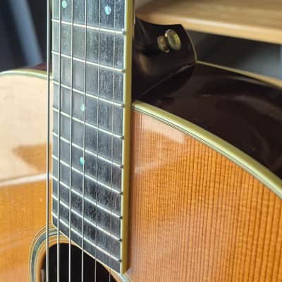 Taylor GS5 - from 2017. ( It's powerful - It fills the room ) image 10