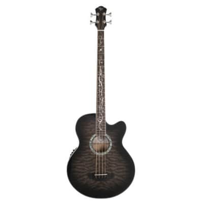 Michael Kelly Dragonfly 4