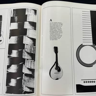Martin 1966 Catalog Reprint D-28 35 21 18 D12 000 00 GT-70 75 18C 28C image 15