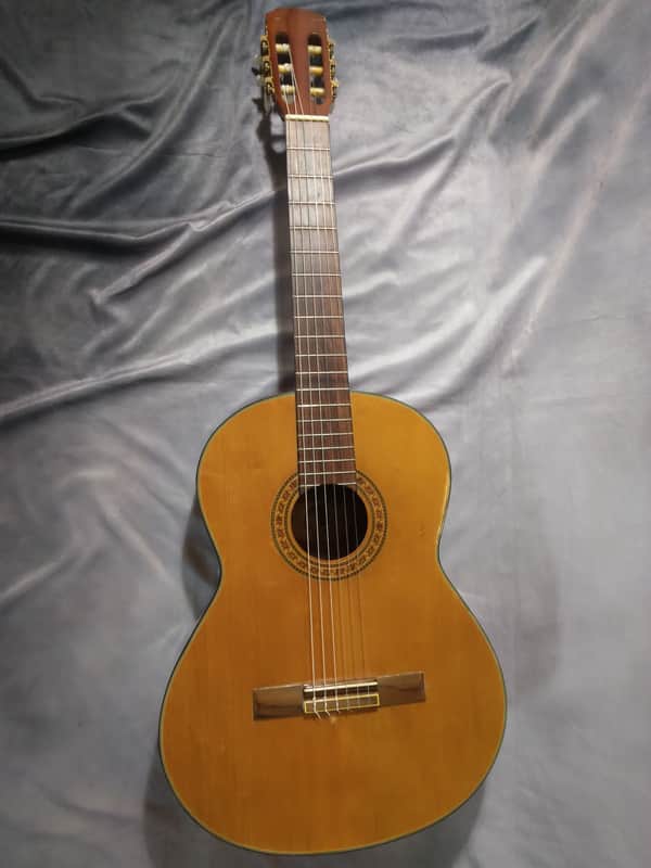 Epiphone Classical Acoustic Guitar, Model C40, Nylon Strings 1990s - Natural image 1