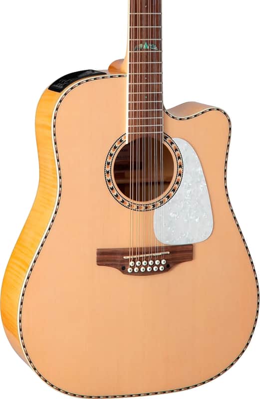 Takamine GD74CE 12-String Dreadnought Acoustic-Electric Guitar, Spruce Top image 1