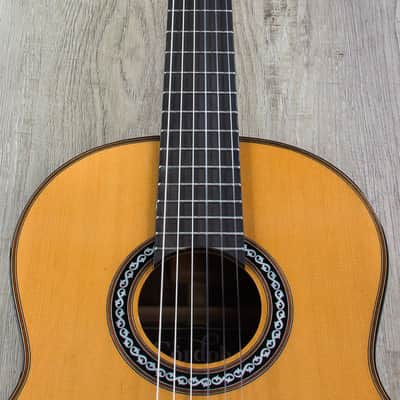 Cordoba C10 Parlor CD Acoustic Nylon String Parlor Size Guitar with Case image 8