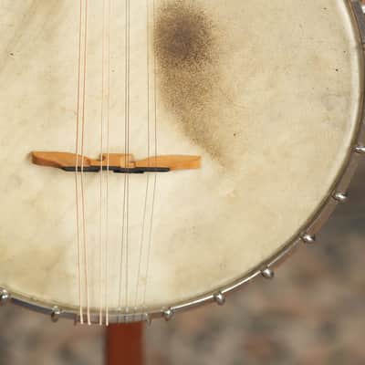 (Used) 1920s Vintage Vega Little Wonder Open-Back Banjo-Mandolin #4928 image 5