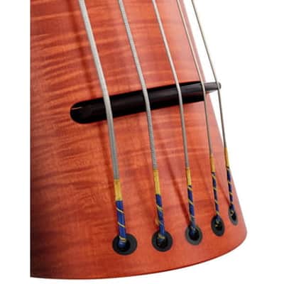 NS Design NXT5a Upright Bass - Sunburst image 3