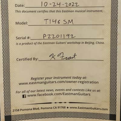 Eastman T146SM All Solid Thinline Archtop Electric Guitar w/ Case, Setup #1192 image 9