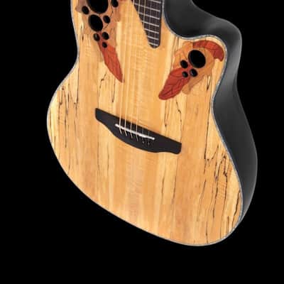 Ovation Celebrity Elite Plus Guitar - Natural Spalted Maple (CE44P-SM-G) image 2