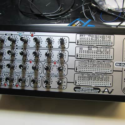 Anyware Instruments Minisizer - One of a kind 2 OSC - SUPER RARE! - Analog Synth image 1