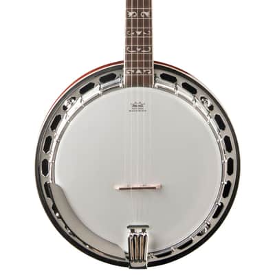 Washburn Americana Series B16K-D 5 String Banjo Sunburst image 5