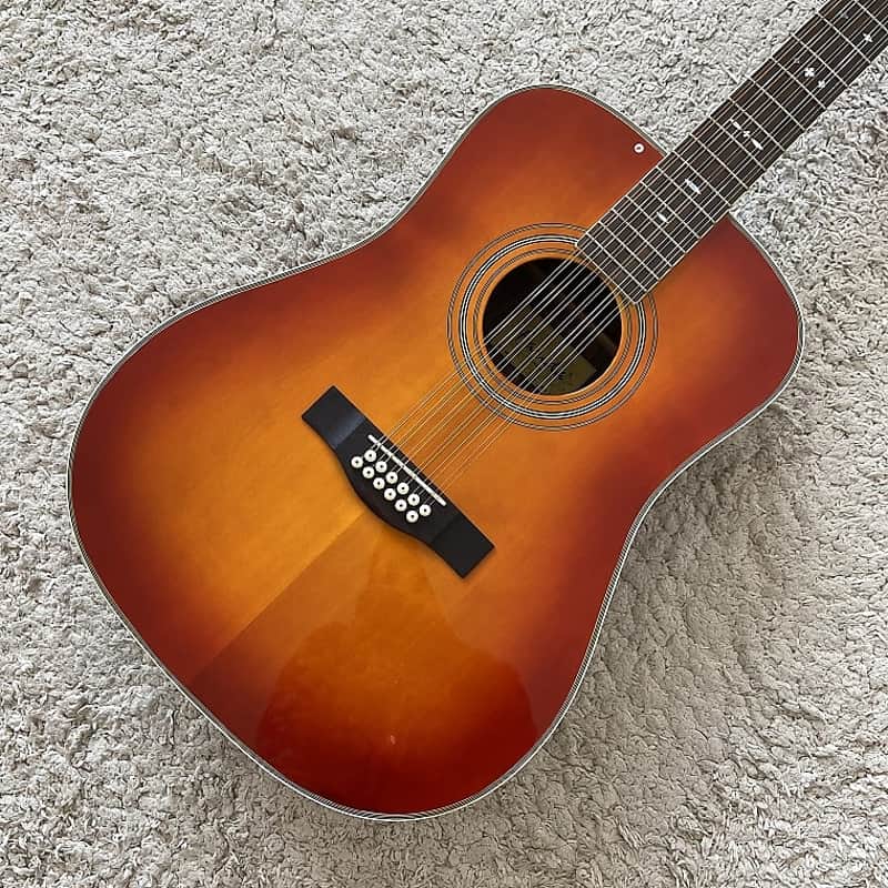 Farida 12 String Acoustic Guitar, Spruce Top Body, Mahogany Neck, Rosewood Fingerboard image 1