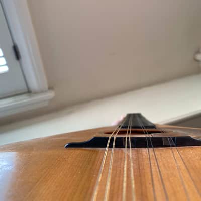 Martin A Style Mandolin 1921 Natural image 11