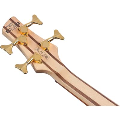 Ibanez SR400EPBDX SR Standard 4-String Bass Guitar Mars Gold Metallic Burst image 9