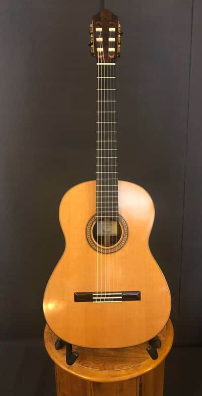 Kolya Panhuyzen Classical Guitar 2012 Cedar/Ziricote image 1