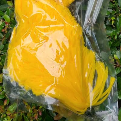 HW Pad-Saver Izzy Saxophone Bow De-Moisturizer Swab Yellow New Sealed image 5