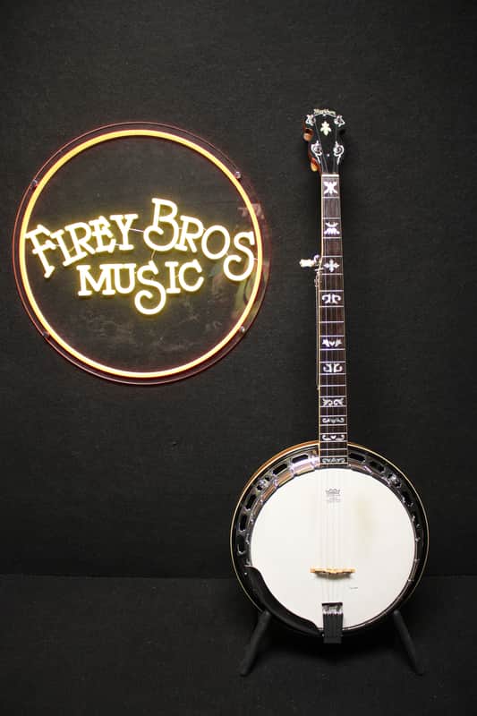 Washburn B-16