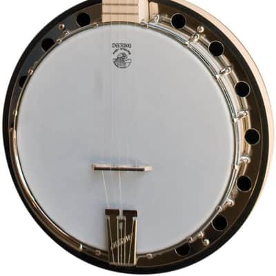 Aria SB-600 Deluxe 5 String Banjo High End Aria Gold Hardware Hard