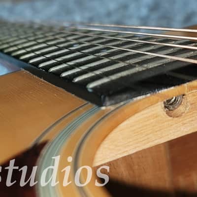 Breedlove Atlas Series - Retro D/SMe-Lefty... Nice in Case! image 4