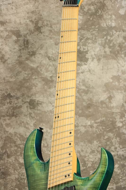 Inyen Vina Guitars 8弦 Inyenvina IYV 8 strings Guitar - Shipping Included* | Reverb