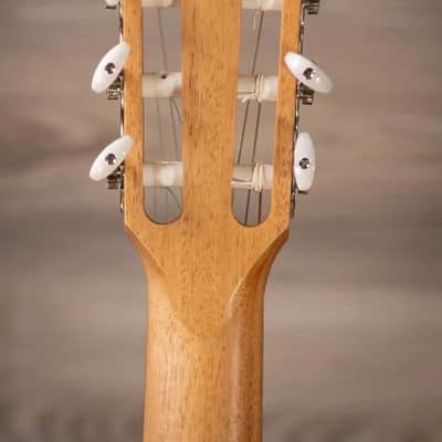 Taylor 214ce-N Nylon Grand Auditorium Acoustic/Electric Guitar with Gig Bag image 6