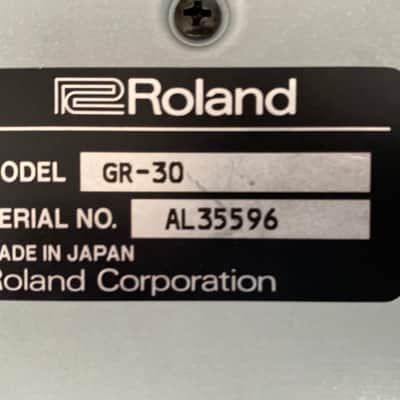 Multiac ACS rosewood HG with Roland GR-30 synth image 13