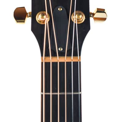 Taylor 714ce-LTD Koa Fall Edition 2008 image 2