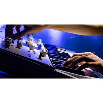 Korg KINGKORG NEO image 19