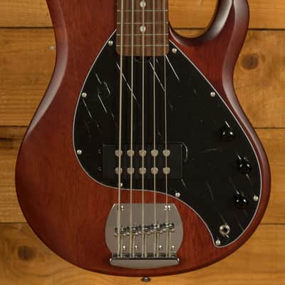 Sterling RAY5 SUB Series StingRay 5 Bass - Walnut Satin image 1