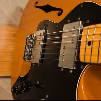 Fender Telecaster Thinline 1978 Natural image 21