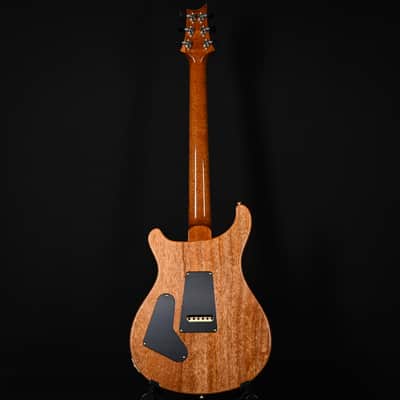 PRS Custom 24 w/ 10-Top & DMO Pickups- Arctic Blue 2026 (0427134) image 4
