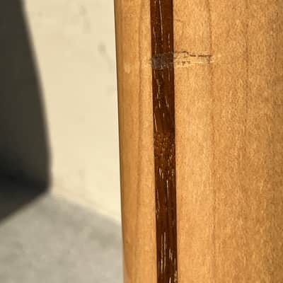 Fender Thinline Telecaster MIJ 1991 *FUJIGEN* image 7