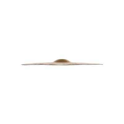 Zildjian A0623-22" FX Crash of Doom image 4