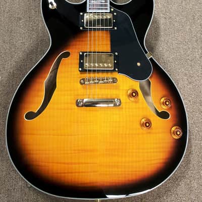 Washburn HB35 Semi-Hollowbody Electric Guitar, Maple Top, Back, Sides, Neck, Case, Blues/Jazz image 2