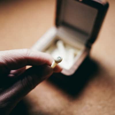 Premium Bone Bridge Pins in Pearl with Abalone Inlays & Walnut Wooden Box image 2