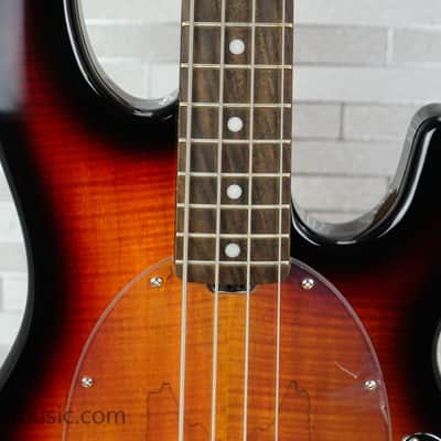 Sterling StingRay Ray34SM - Tone Sunburst image 4