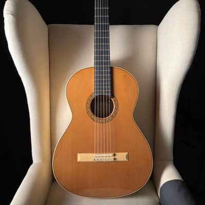 Joshia de Jonge Concert Model Classical image 1