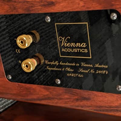 Pair of Vienna Acoustics Maestro Speakers image 12